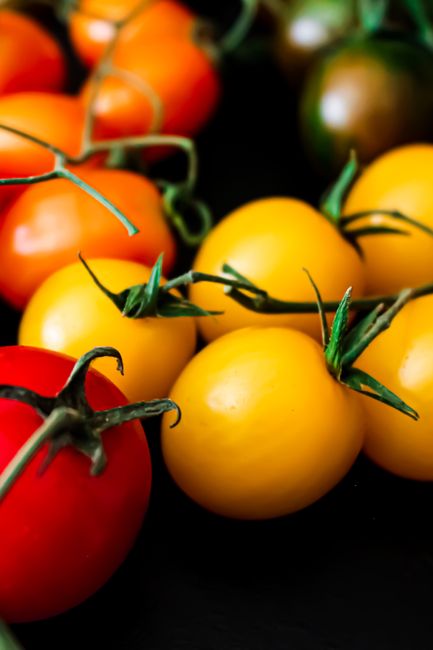 Close-up of colorful cherry tomatoes in studio, highlighting vivid colors with a black background.